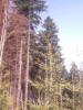 030419_0018.jpg, 960x1280, 154 Kb