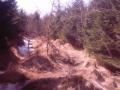 030419_0023.jpg, 1280x960, 94 Kb