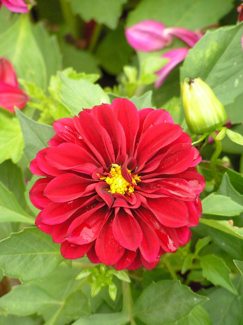 p8250009