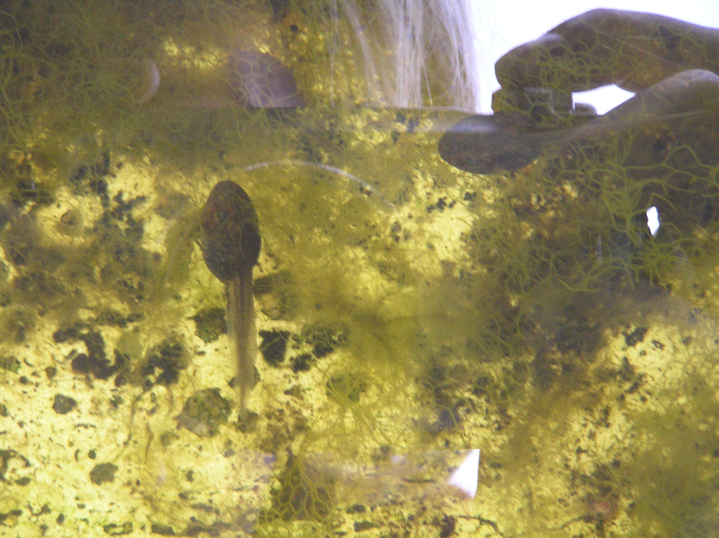 p8270007