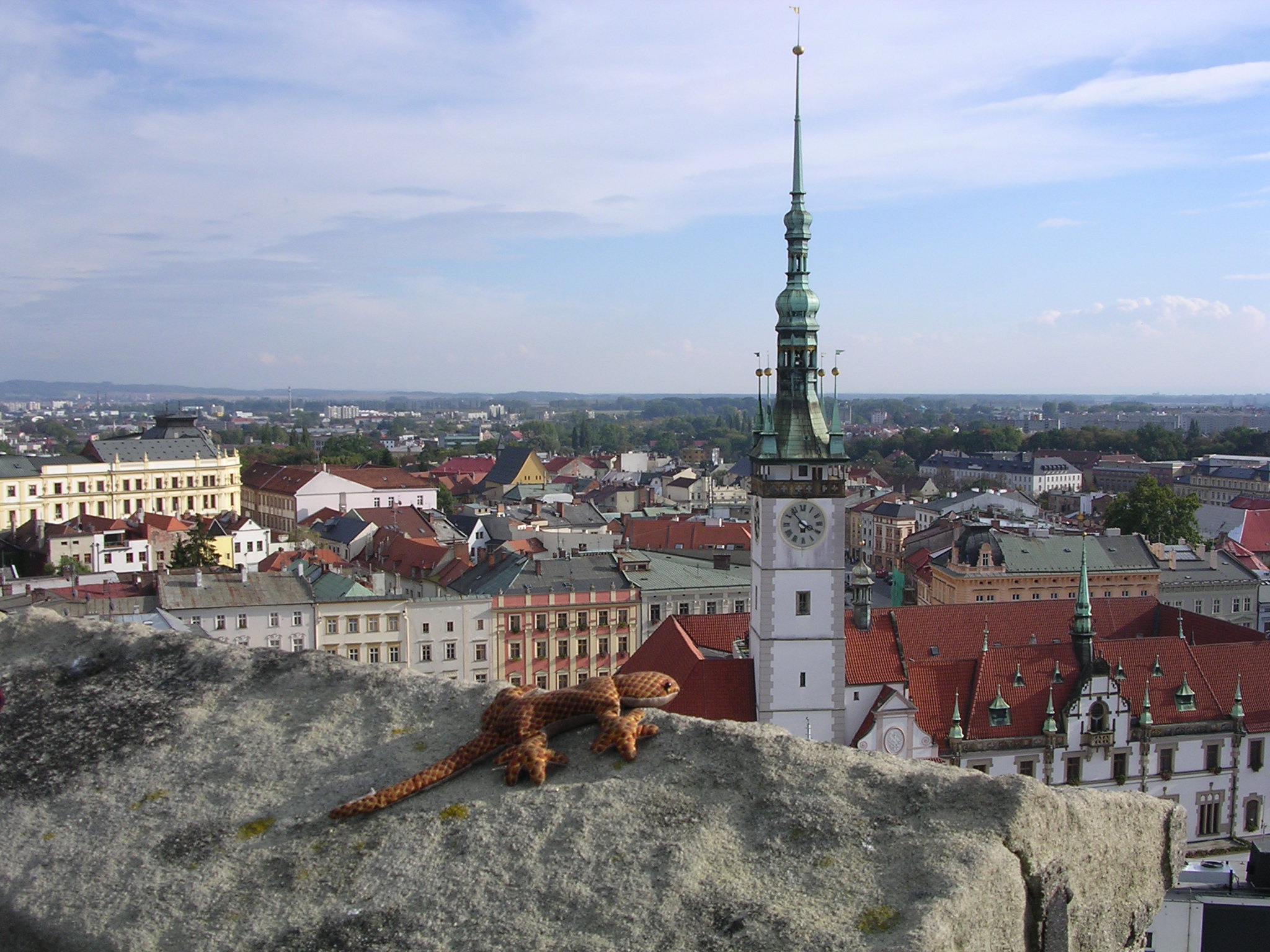 Olomouc - Jesta pozoruje mesto z veze kostela sv. Morice, 2048x1536, 625 Kb
