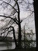 P4230071.JPG, 1712x2288, 854 Kb