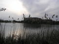 P4230072.JPG, 2288x1712, 736 Kb
