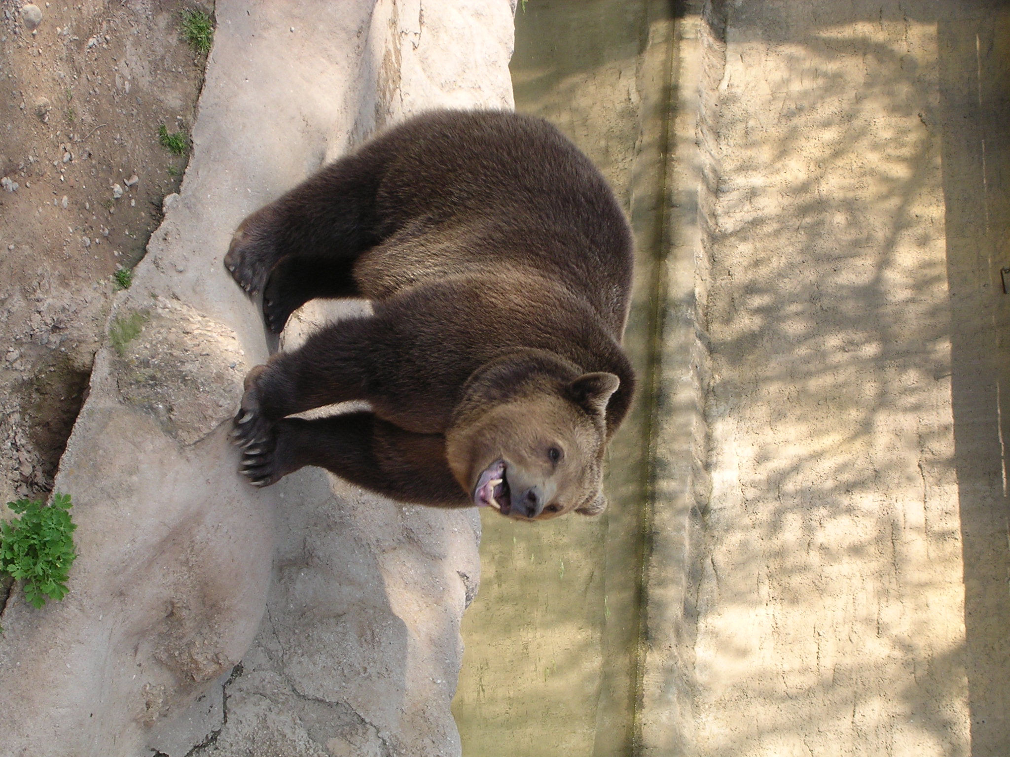 DSCN7346.JPG, 2048x1536, 678 Kb