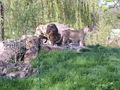 DSCN7364.JPG, 2048x1536, 752 Kb