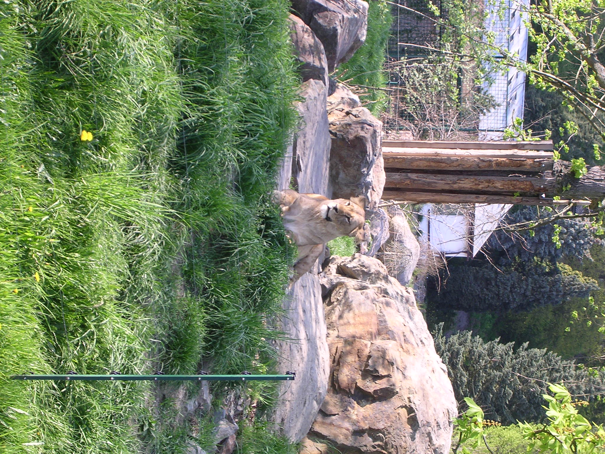 DSCN7365.JPG, 2048x1536, 731 Kb