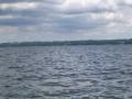 dscn7966.jpg, 2048x1536, 621 Kb