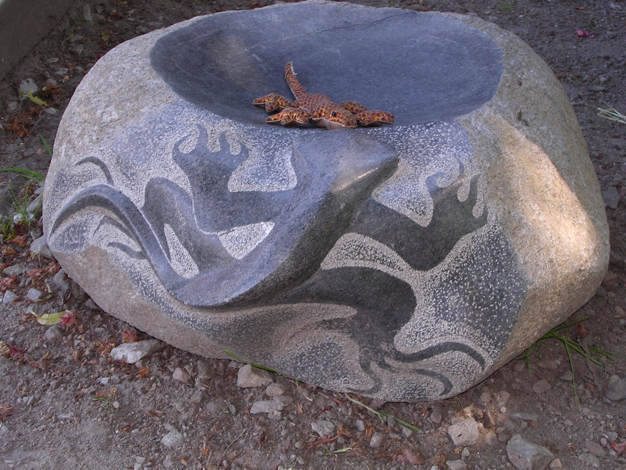 dscn7988.jpg, 2048x1536, 699 Kb