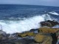 dscn8066.jpg, 2048x1536, 655 Kb