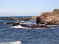 dscn8177.jpg, 2048x1536, 633 Kb