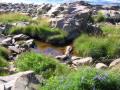 dscn8185.jpg, 2048x1536, 642 Kb