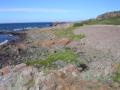 dscn8186.jpg, 2048x1536, 685 Kb