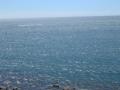 dscn8218.jpg, 2048x1536, 725 Kb