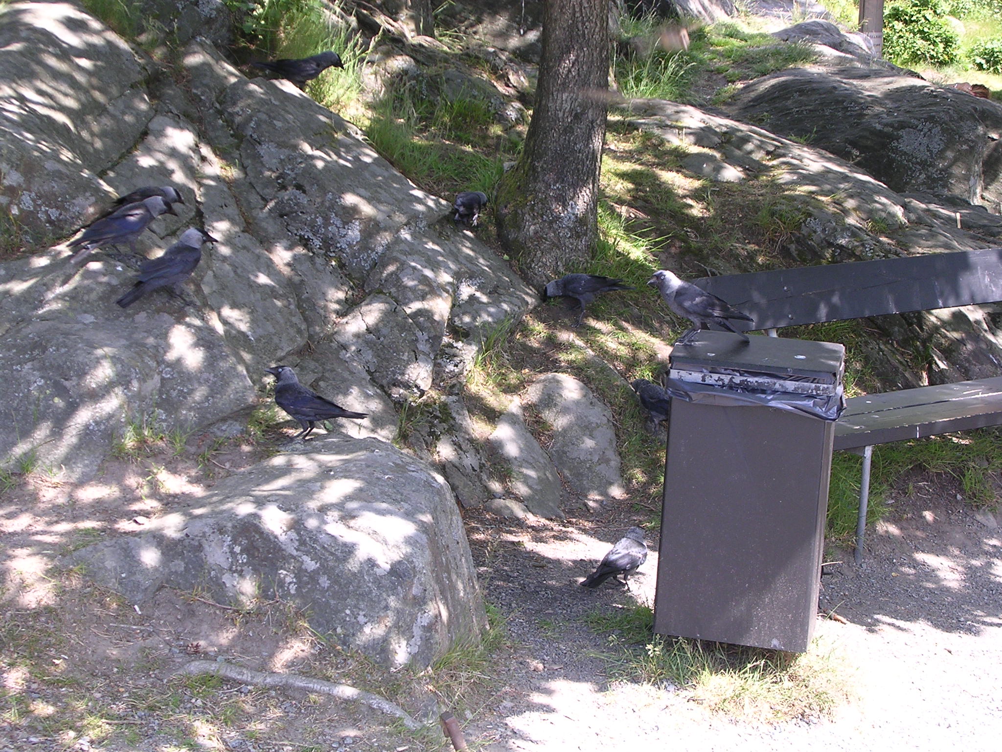 dscn8298.jpg, 2048x1536, 702 Kb
