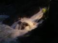 DSCN8494.JPG, 2048x1536, 701 Kb