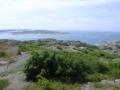 DSCN8513.JPG, 2048x1536, 618 Kb
