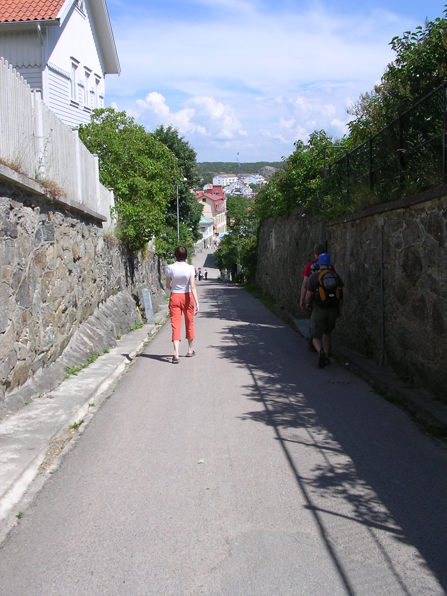 DSCN8545.JPG, 1536x2048, 633 Kb