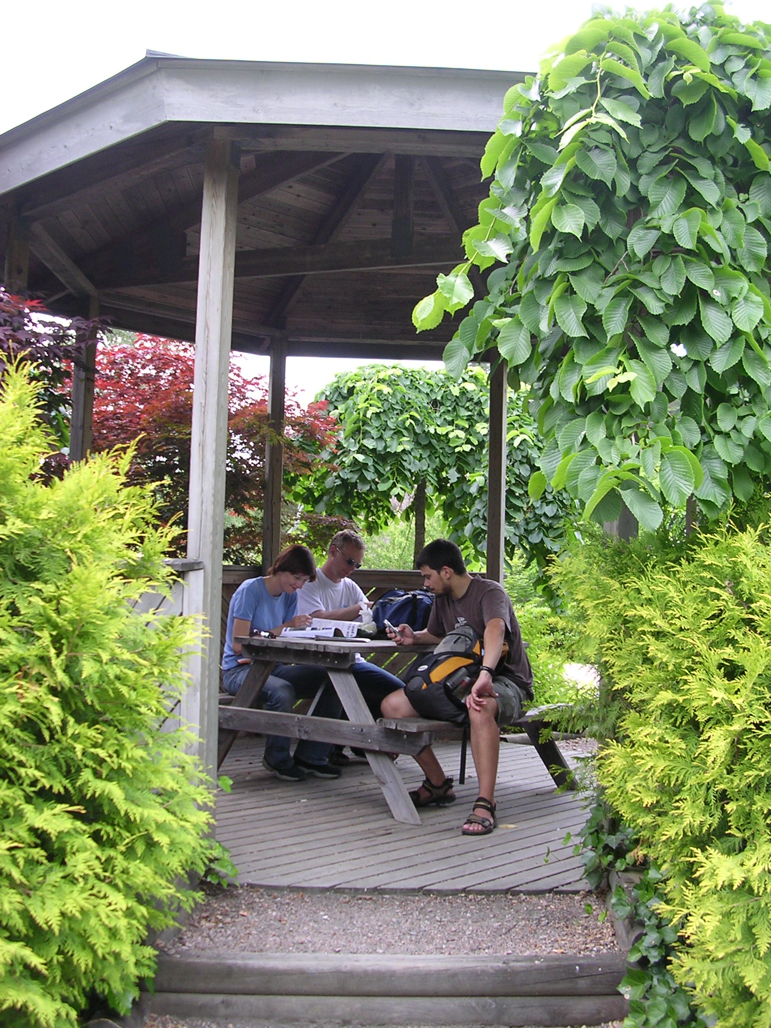 DSCN8734.JPG, 1536x2048, 682 Kb