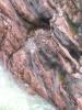 DSCN8772.JPG, 1536x2048, 687 Kb