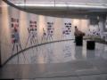 DSCN8622.JPG, 2048x1536, 634 Kb