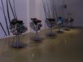 DSCN8639.JPG, 2048x1536, 754 Kb