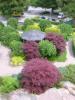 DSCN8731.JPG, 1536x2048, 719 Kb