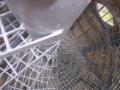 DSCN8733.JPG, 2048x1536, 657 Kb