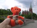 DSCN8777.JPG, 2048x1536, 584 Kb