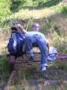 DSCN8925.JPG, 1536x2048, 698 Kb