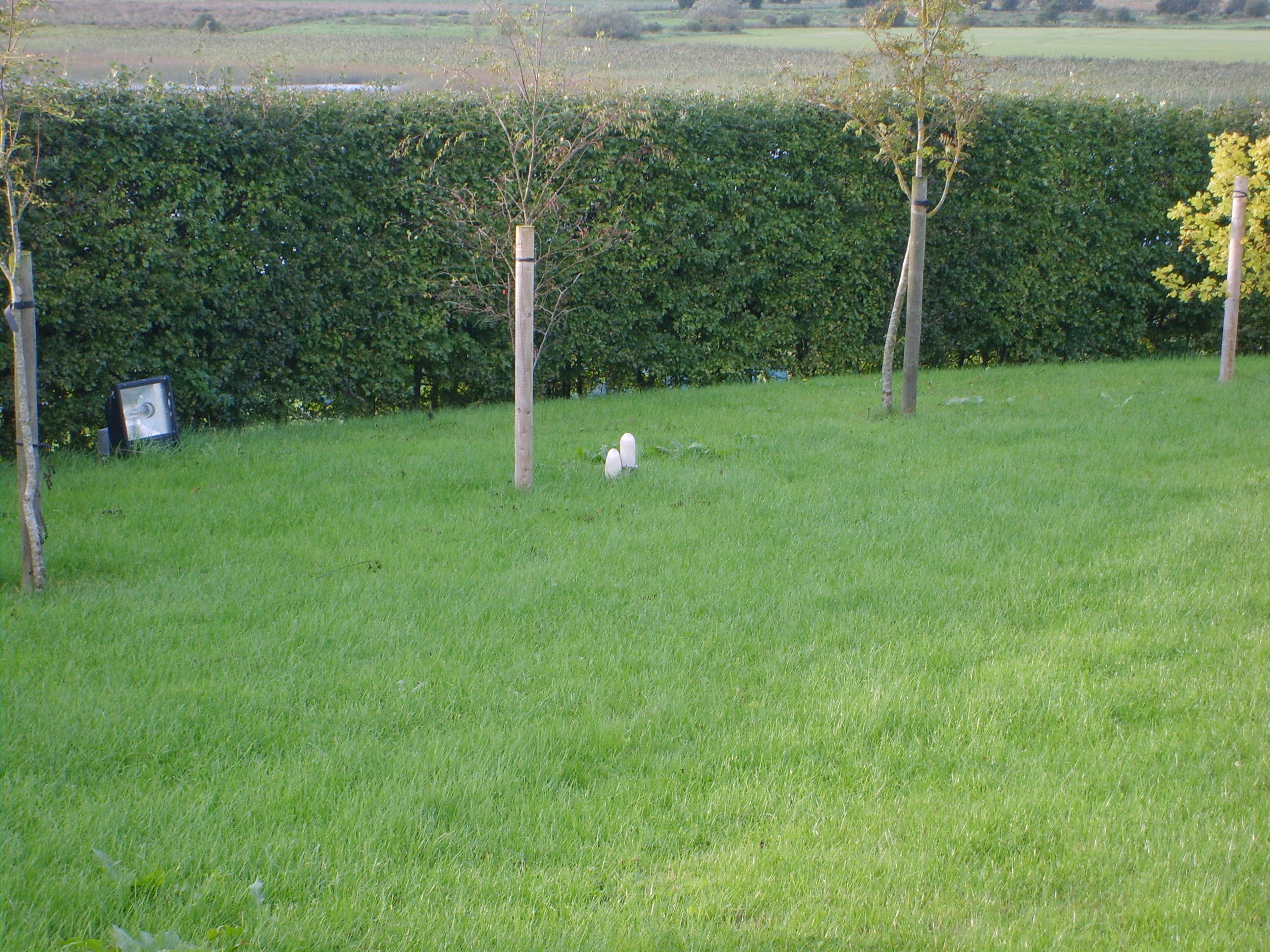s5000491.jpg, 2592x1944, 2551 Kb