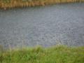 s5001093.jpg, 1600x1200, 968 Kb