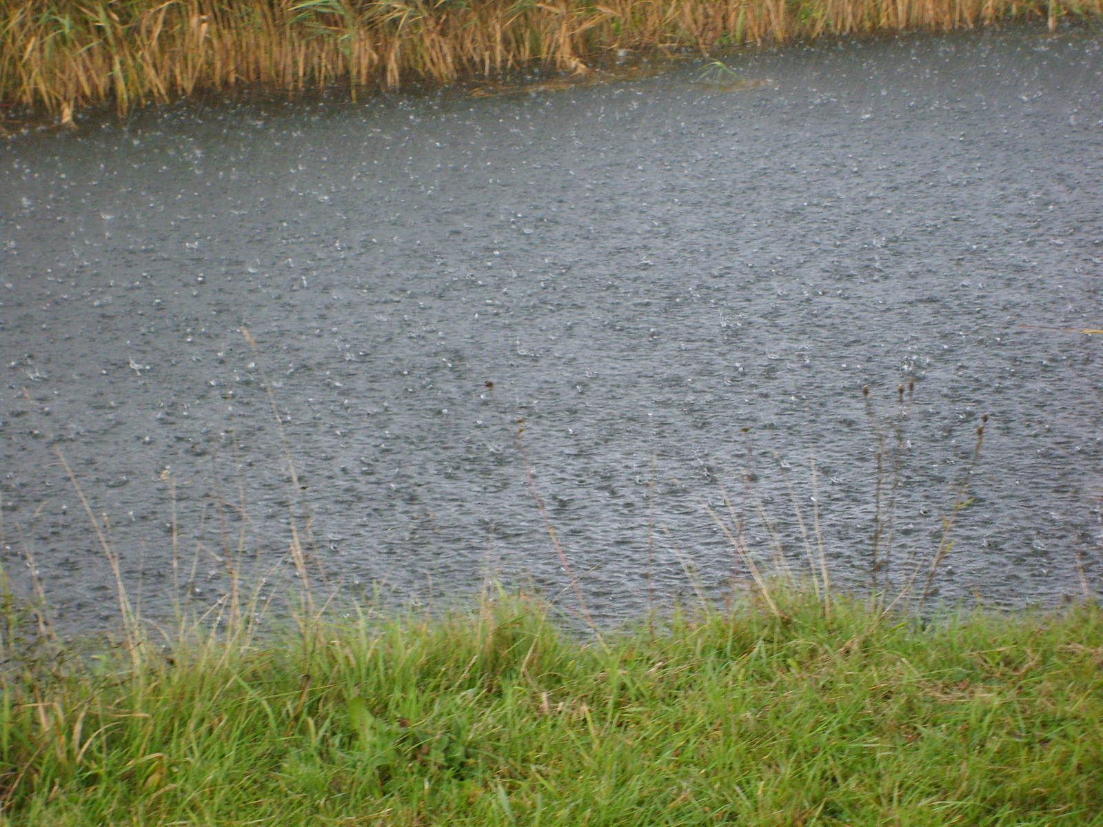 s5001093.jpg, 1600x1200, 968 Kb