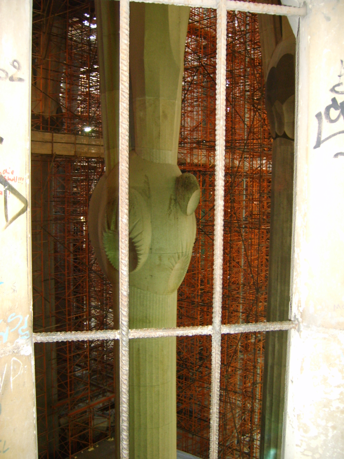 s5001425.jpg, 1200x1600, 980 Kb