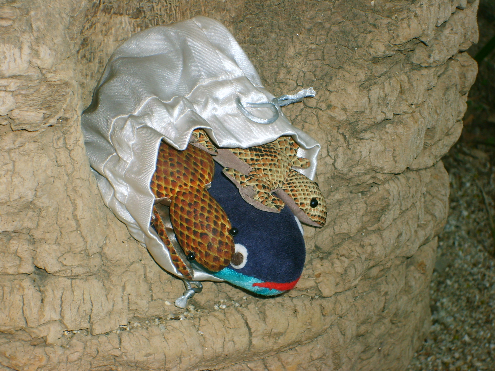 s5001541.jpg, 1600x1200, 999 Kb