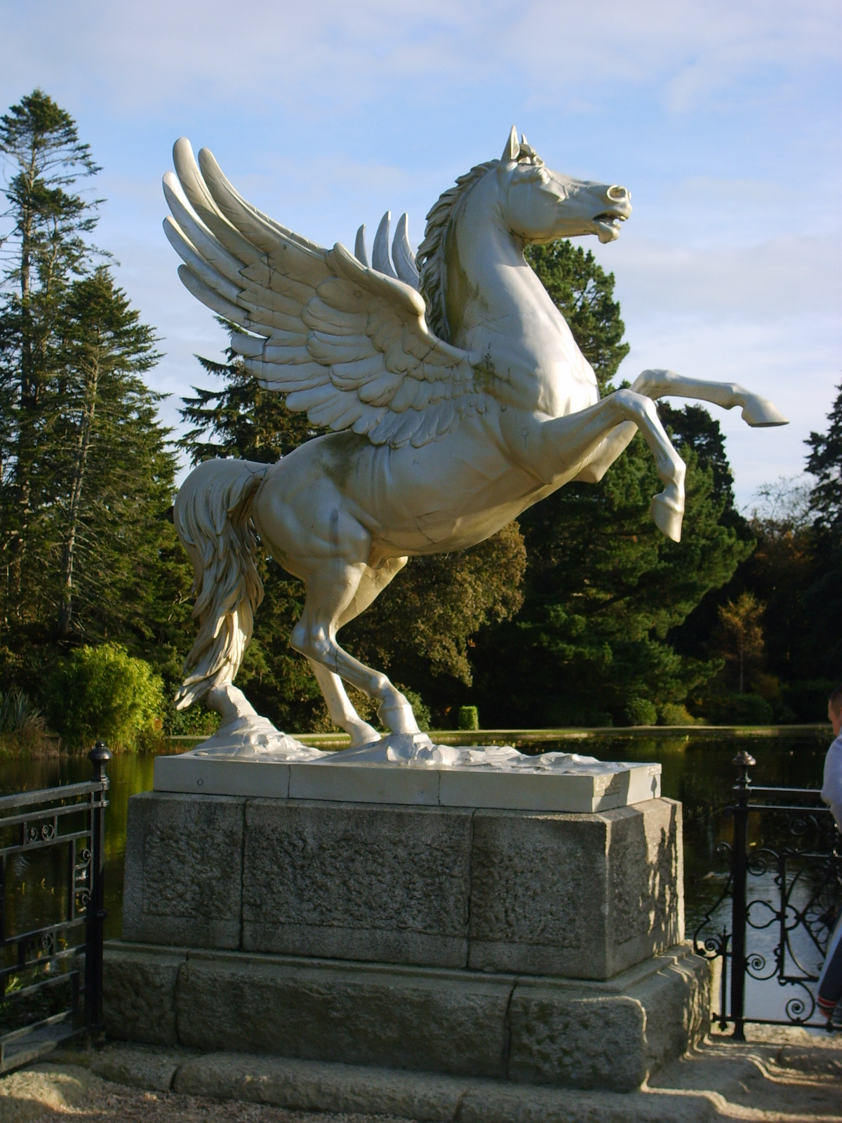 s5001877.jpg, 1200x1600, 982 Kb