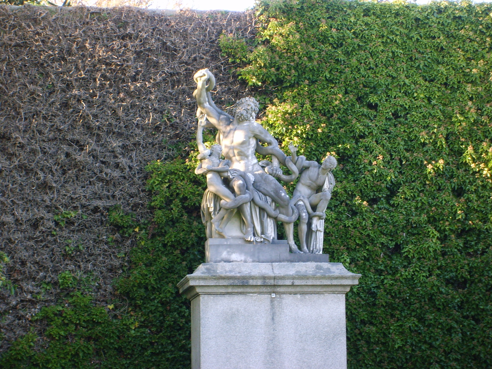 s5001924.jpg, 1600x1200, 862 Kb