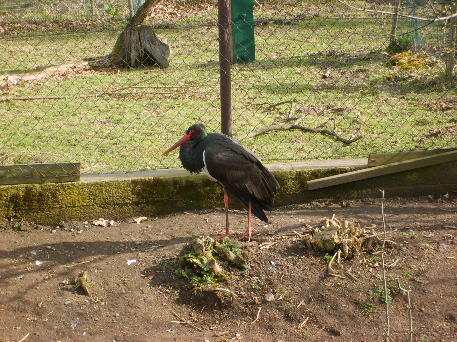 S5002705.JPG, 1600x1200, 840 Kb