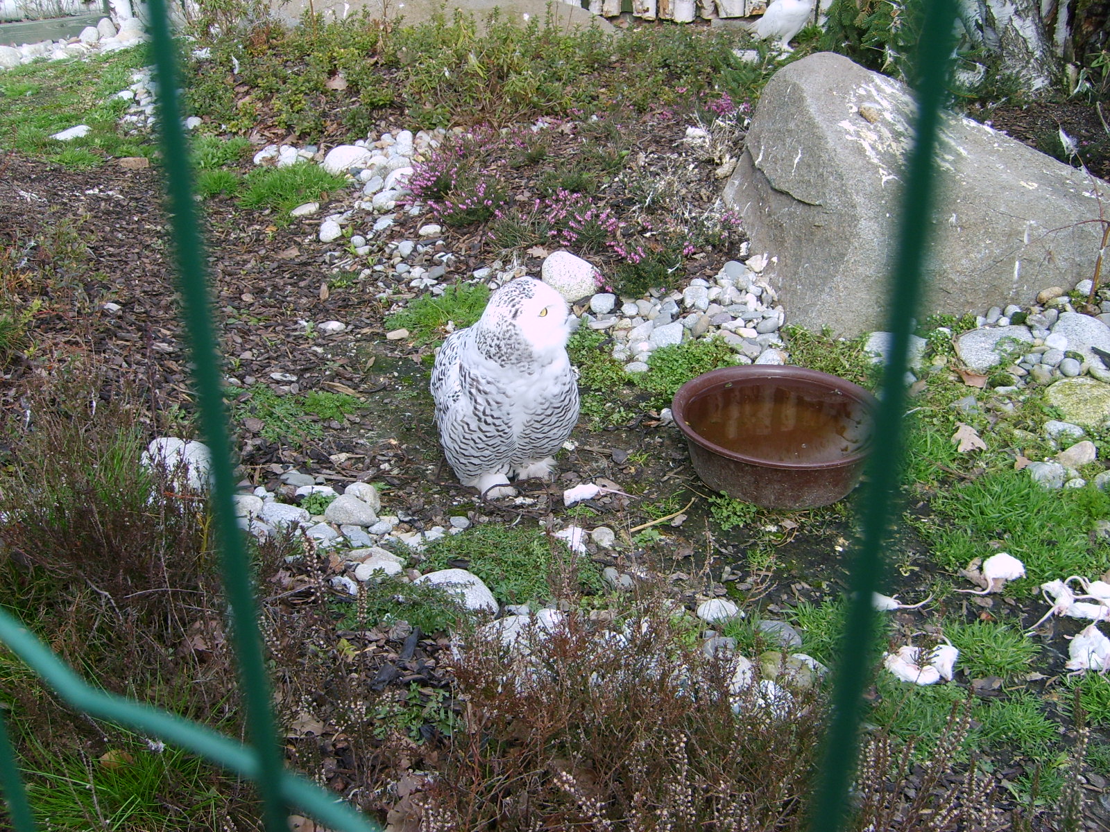 S5002717.JPG, 1600x1200, 833 Kb