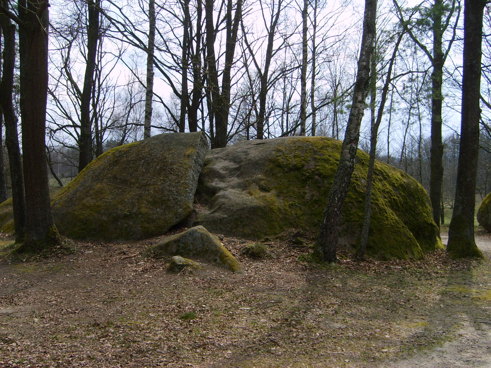 S5002770.JPG, 1600x1200, 502 Kb