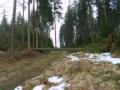 S5002874.JPG, 1600x1200, 526 Kb