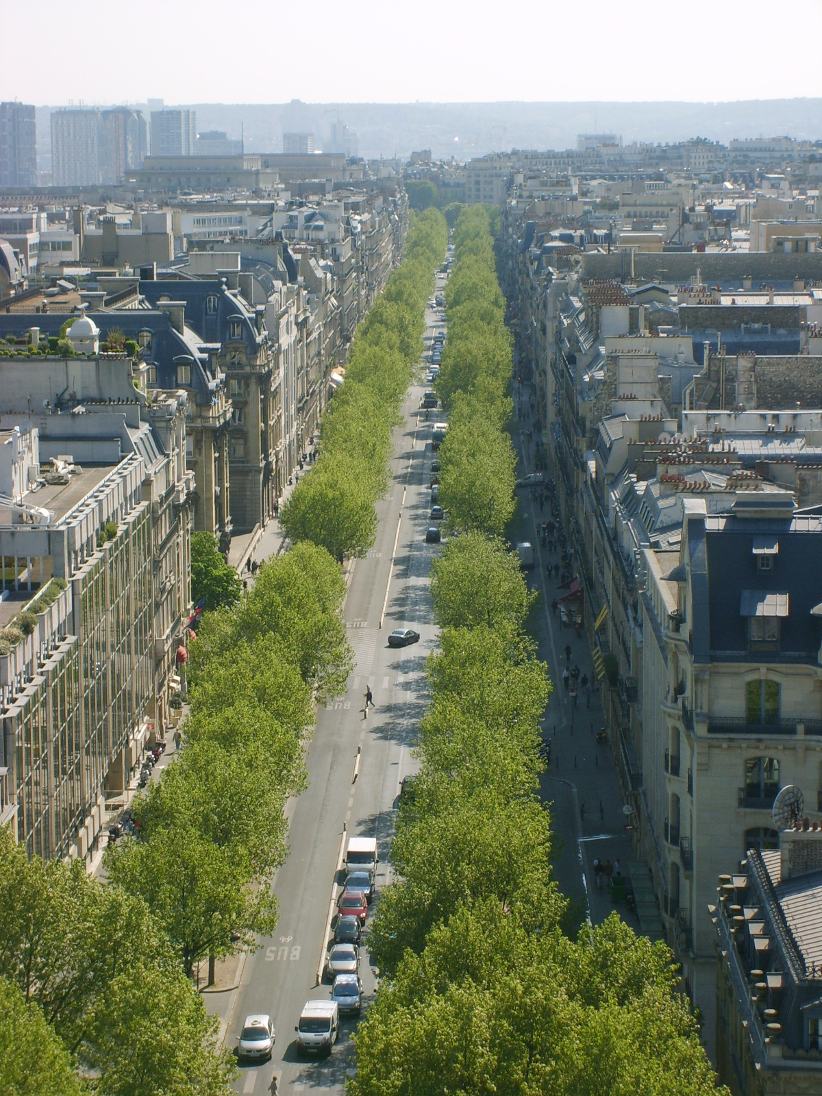 S5003382.JPG, 1200x1600, 955 Kb