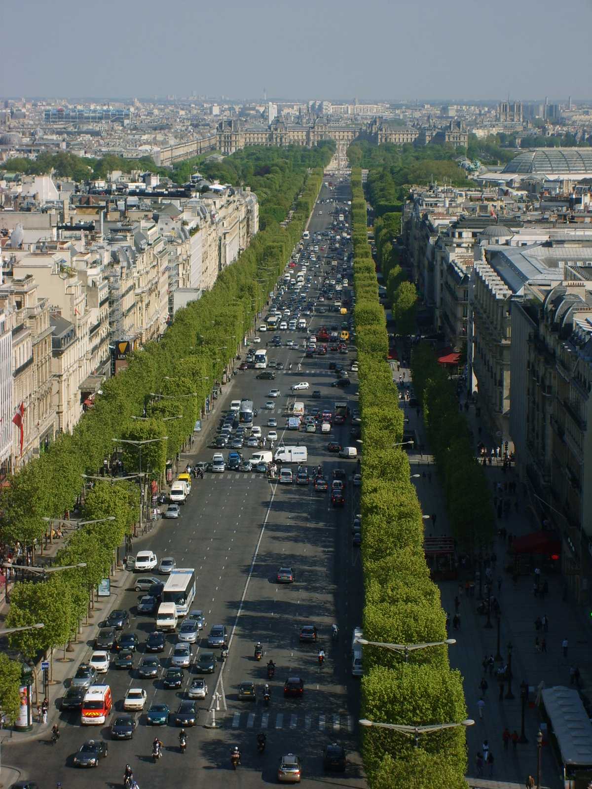 S5003389.JPG, 1200x1600, 999 Kb