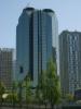S5003636.JPG, 1200x1600, 993 Kb