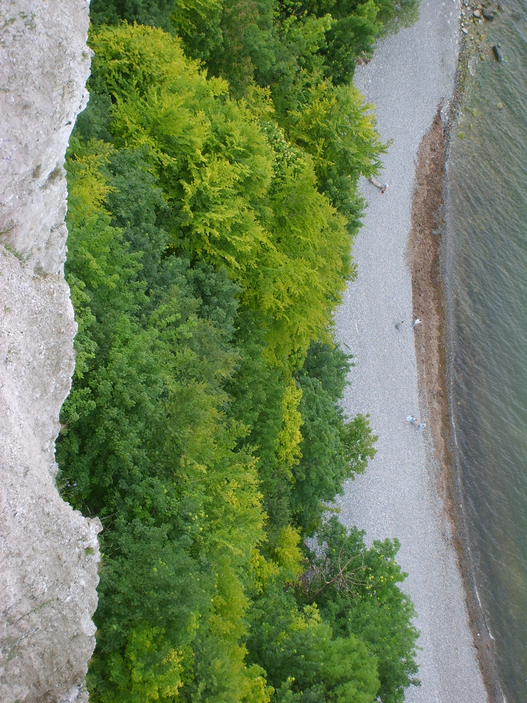 s5004115.jpg, 1704x2272, 1910 Kb