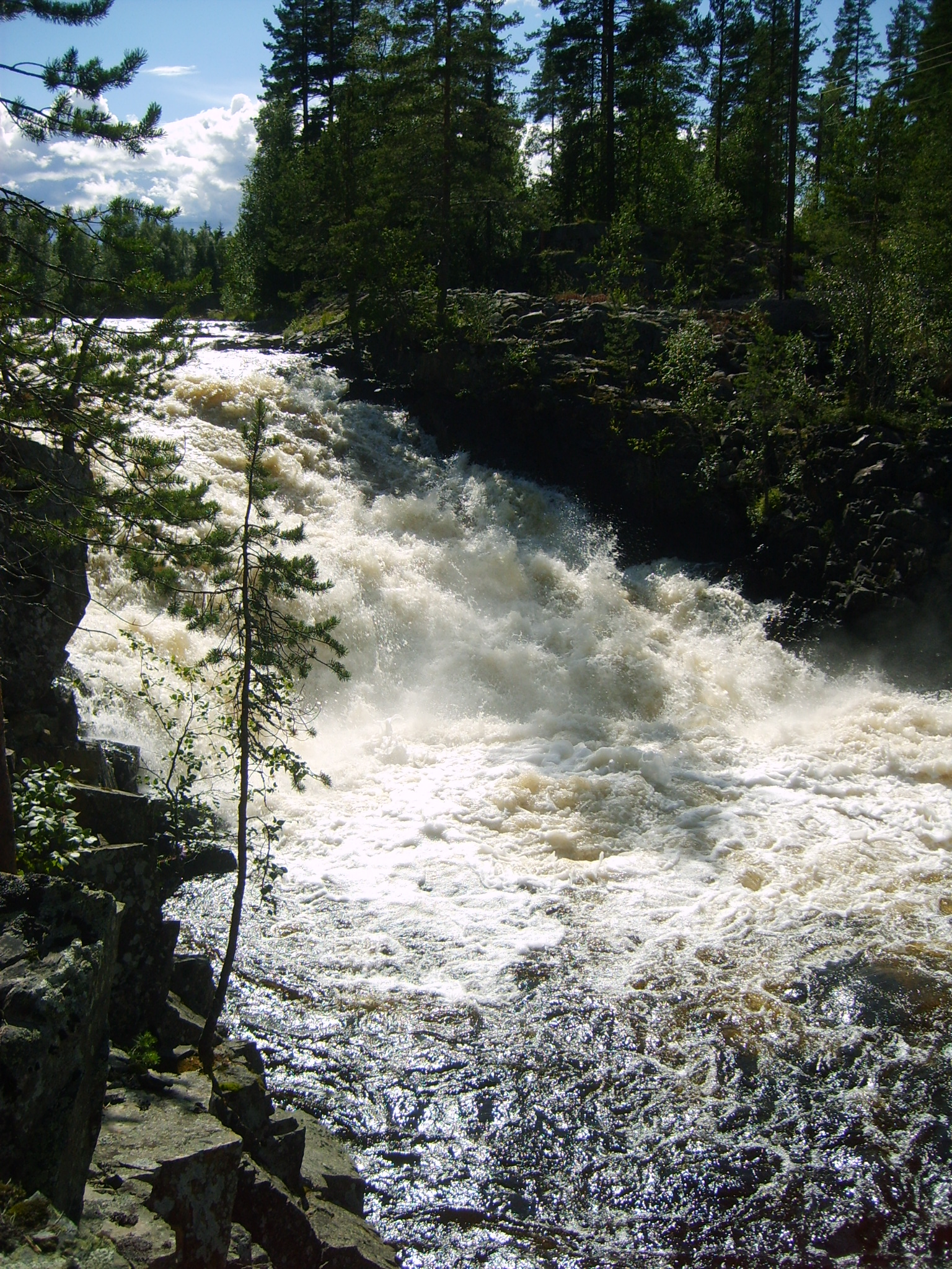 s5004311.jpg, 1536x2048, 1553 Kb
