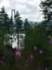 Hogakusten bron, 1536x2048, 1635 Kb